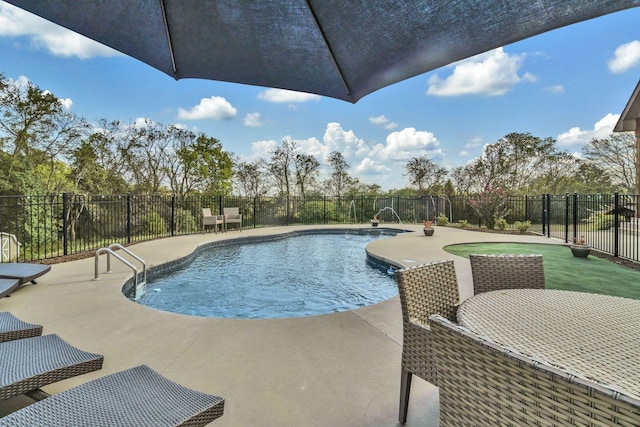 view of pool with a patio area