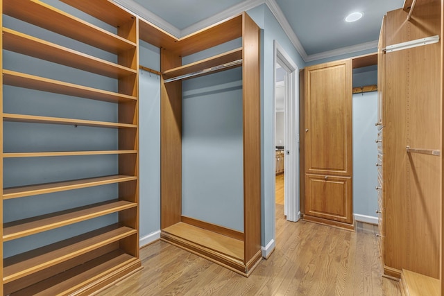 spacious closet featuring light wood-type flooring