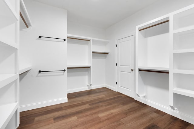 spacious closet with dark wood-type flooring