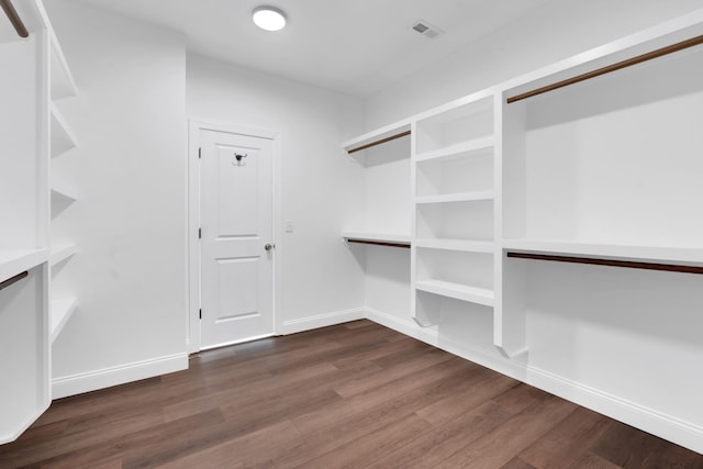 spacious closet with dark wood-type flooring