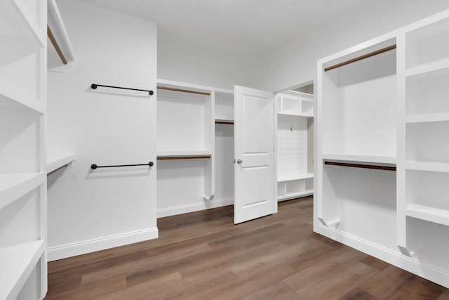 spacious closet featuring wood-type flooring