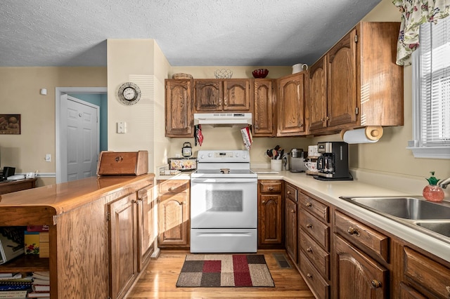 kitchen with electric stove, sink, light hardwood / wood-style floors, and a textured ceiling