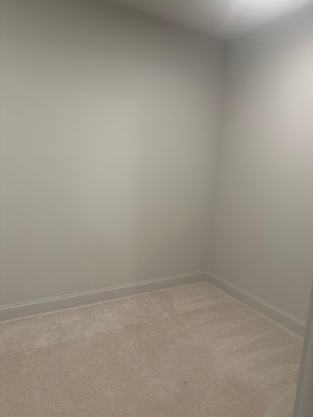 unfurnished room featuring carpet flooring