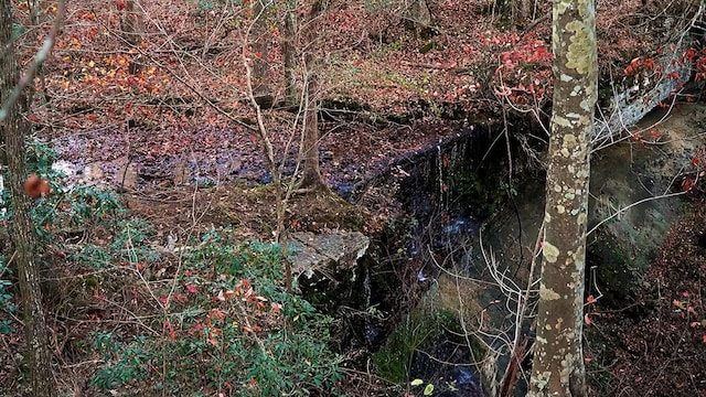 view of landscape