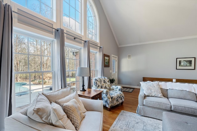 living room featuring ornamental molding, wood-type flooring, and high vaulted ceiling