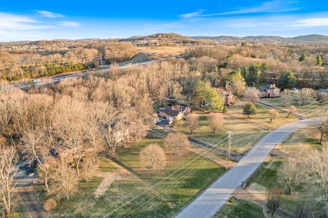 bird's eye view featuring a mountain view