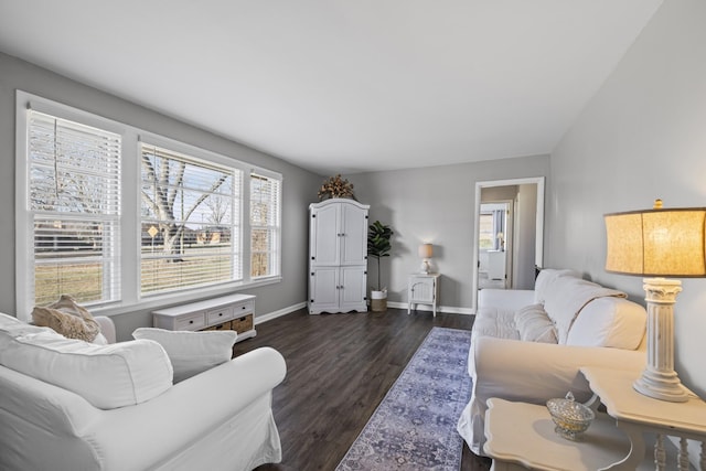 living room featuring dark wood-type flooring