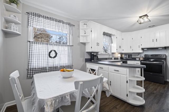 kitchen featuring white cabinetry, range hood, a wealth of natural light, and stainless steel electric range