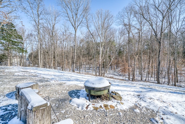 view of yard layered in snow