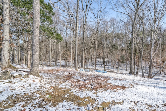 view of snowy yard