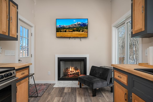 living area with dark hardwood / wood-style floors