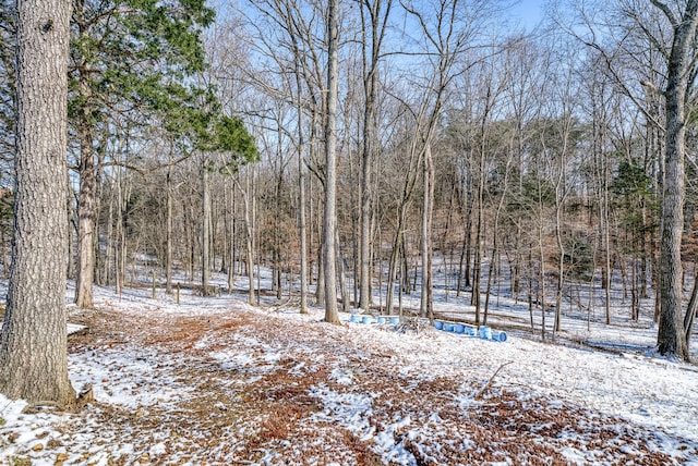 view of yard layered in snow