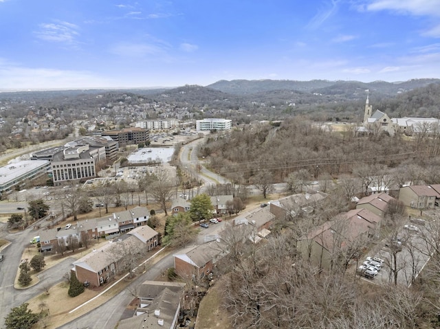 aerial view with a mountain view