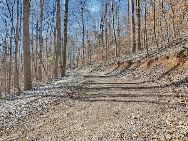 view of road