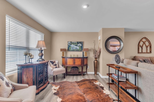 living area with light hardwood / wood-style flooring and a healthy amount of sunlight