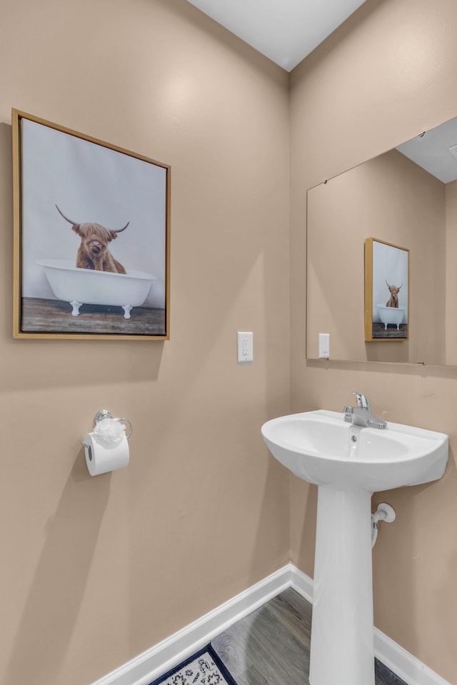 bathroom with wood-type flooring