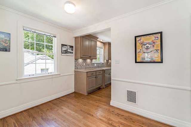 1704 Temple Ave, Nashville, TN 37215 - kitchen with tasteful backsplash, sink, light hardwood / wood-style flooring, and a wealth of natural light