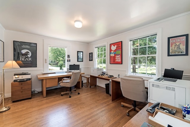 1704 Temple Ave, Nashville, TN 37215 - office area featuring ornamental molding and light hardwood / wood-style flooring