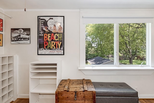 1704 Temple Ave, Nashville, TN 37215 - interior details featuring crown molding