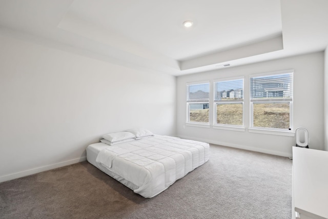 carpeted bedroom featuring a tray ceiling