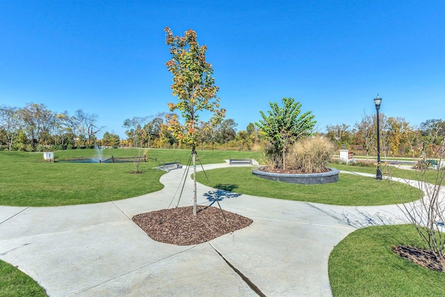 view of home's community with a yard