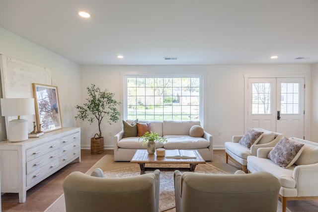 living room featuring hardwood / wood-style flooring