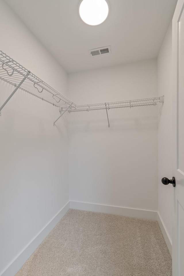 spacious closet with carpet