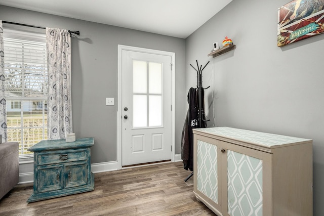 entryway featuring hardwood / wood-style flooring