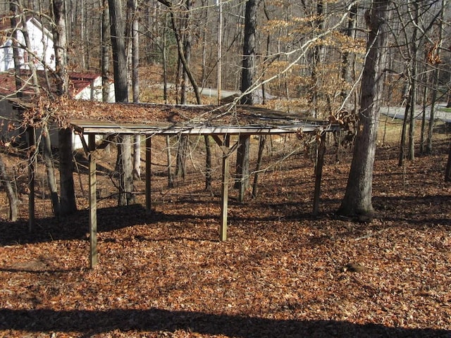 view of local wilderness