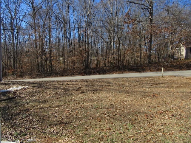 111 June St, Mcminnville, TN 37110 - photo 19