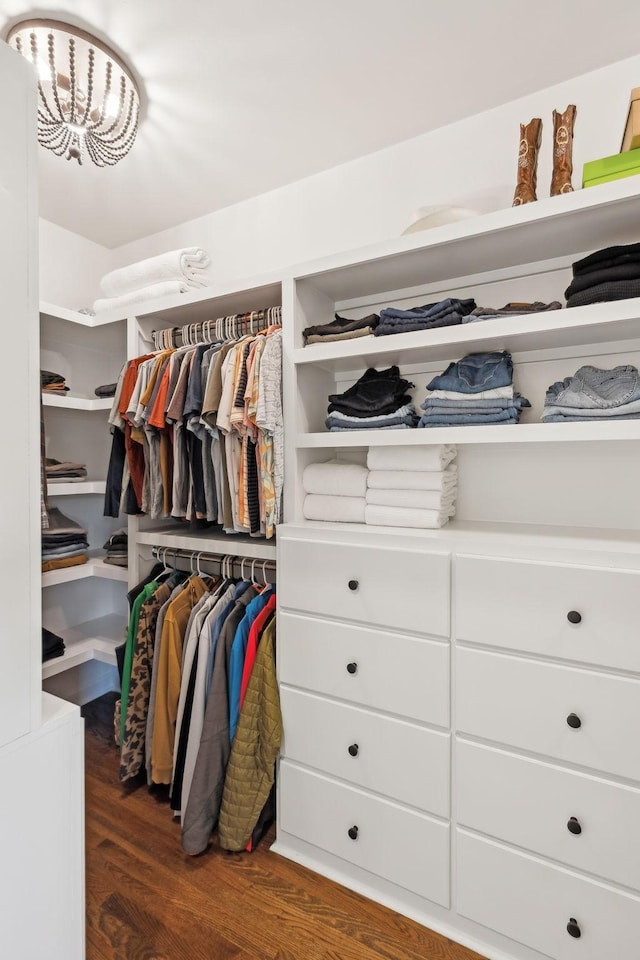 walk in closet featuring dark hardwood / wood-style flooring