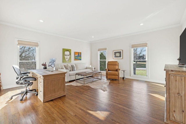 home office featuring crown molding, plenty of natural light, and wood-type flooring