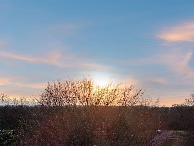 view of nature at dusk