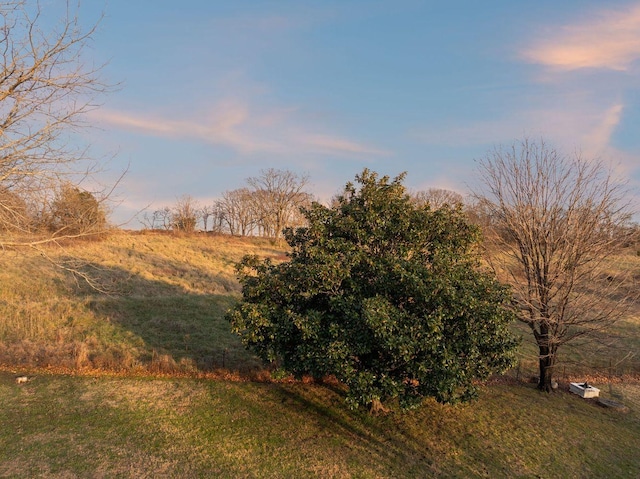 nature at dusk with a rural view