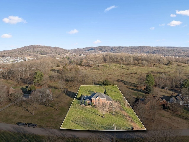 bird's eye view featuring a mountain view