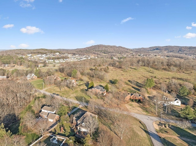 birds eye view of property featuring a mountain view