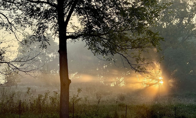 view of nature at dusk