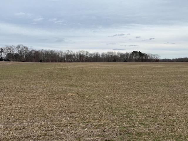 5A Salem Rd, Minor Hill TN, 38473 land for sale