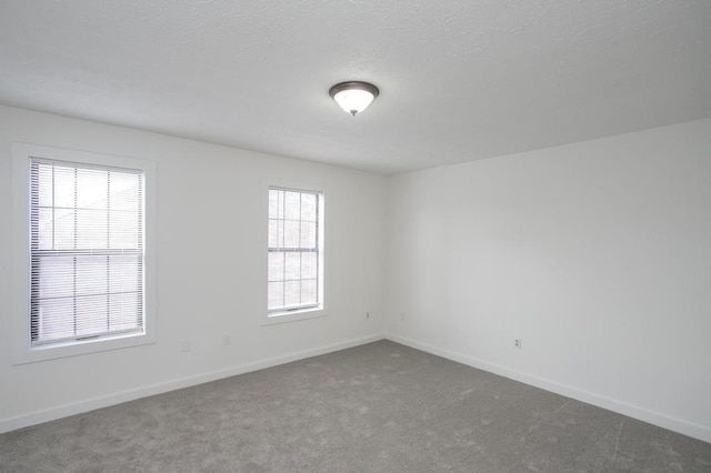 carpeted spare room with a wealth of natural light