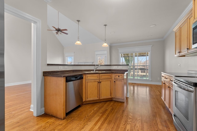 kitchen featuring sink, crown molding, hanging light fixtures, light hardwood / wood-style flooring, and stainless steel appliances