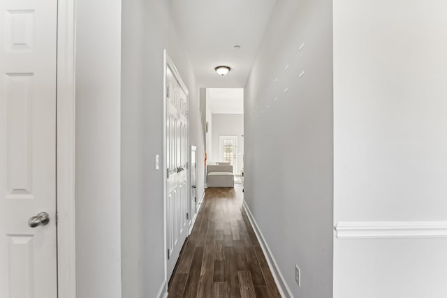 hall featuring dark wood-type flooring