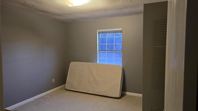 unfurnished room featuring light carpet and a textured ceiling