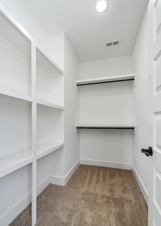 walk in closet with carpet floors