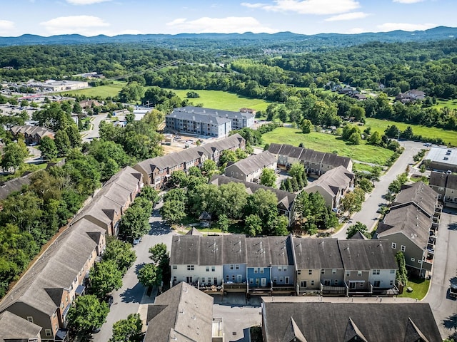 birds eye view of property with a mountain view