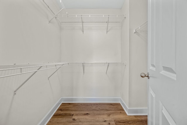 spacious closet featuring wood-type flooring