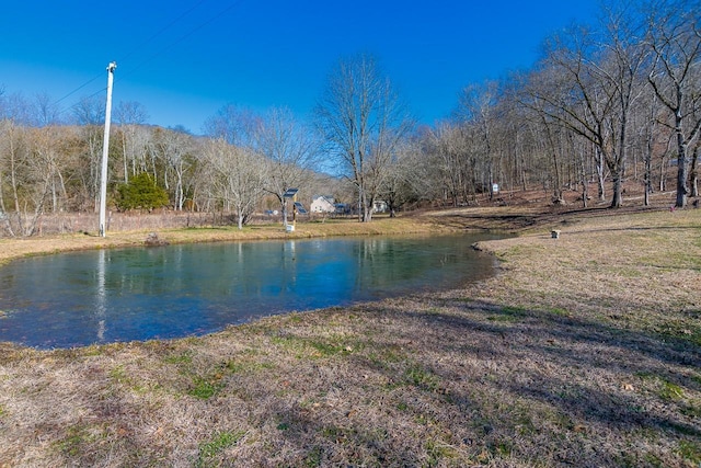 view of water feature