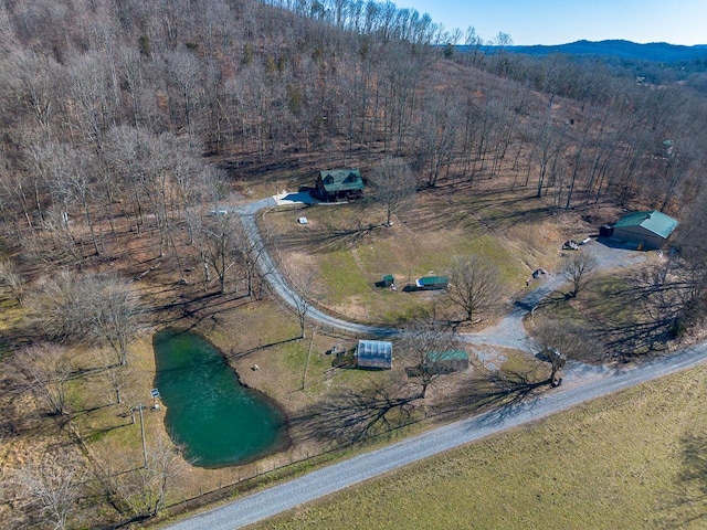 birds eye view of property with a mountain view