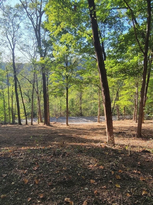 74 Williamson Cir, Smithville TN, 37166 land for sale