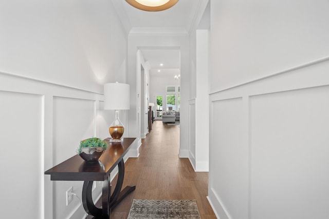 hallway with dark wood-type flooring and ornamental molding