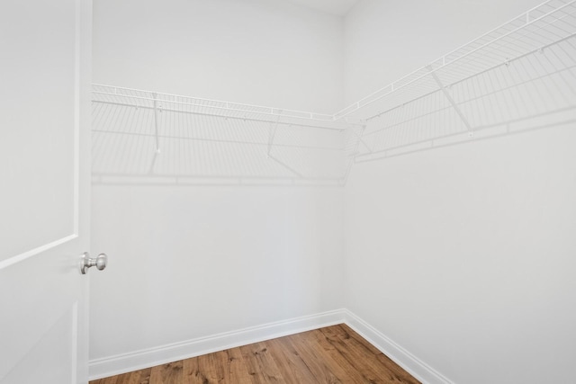 walk in closet featuring wood-type flooring